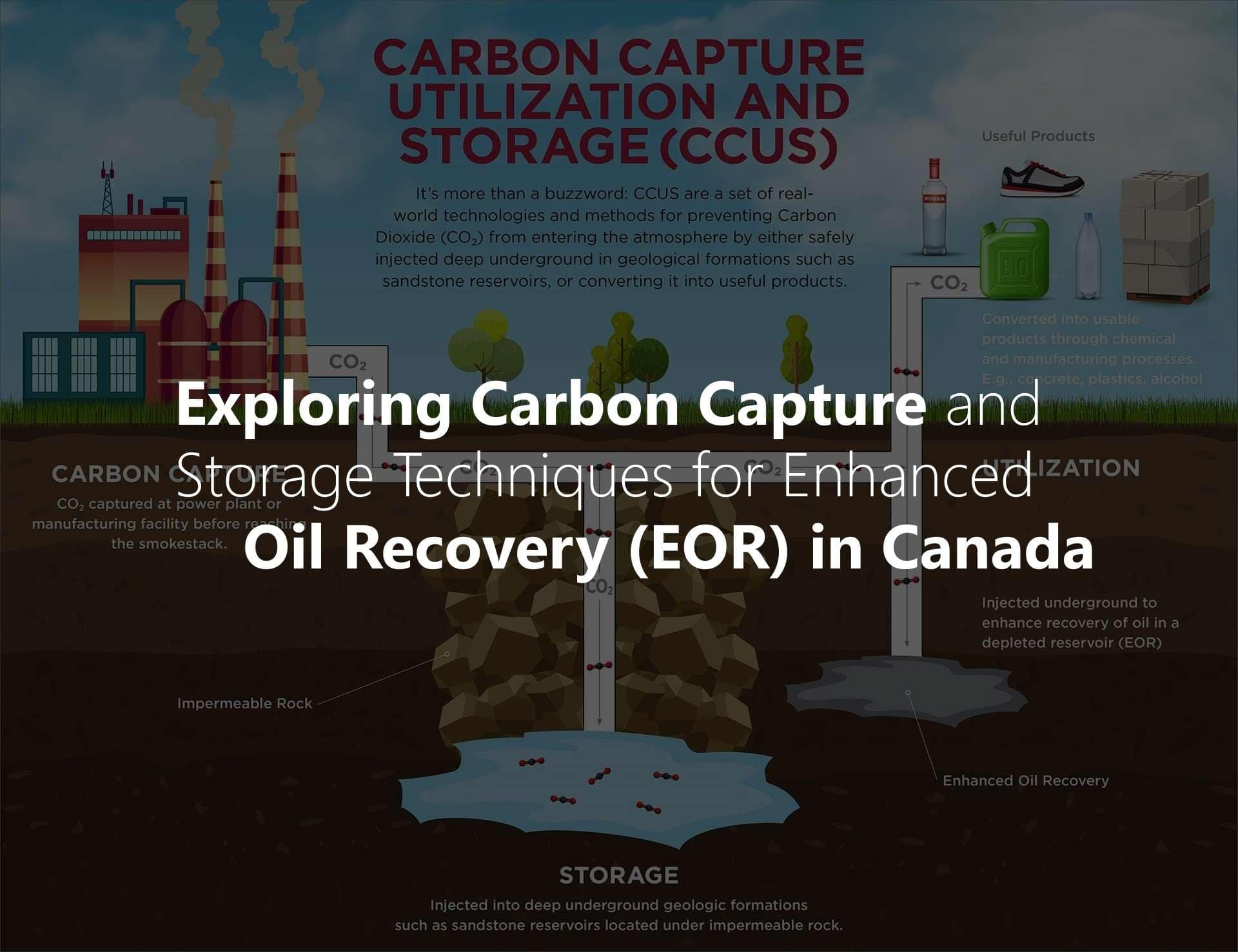 Exploring Carbon Capture and Storage Techniques for Enhanced Oil ...